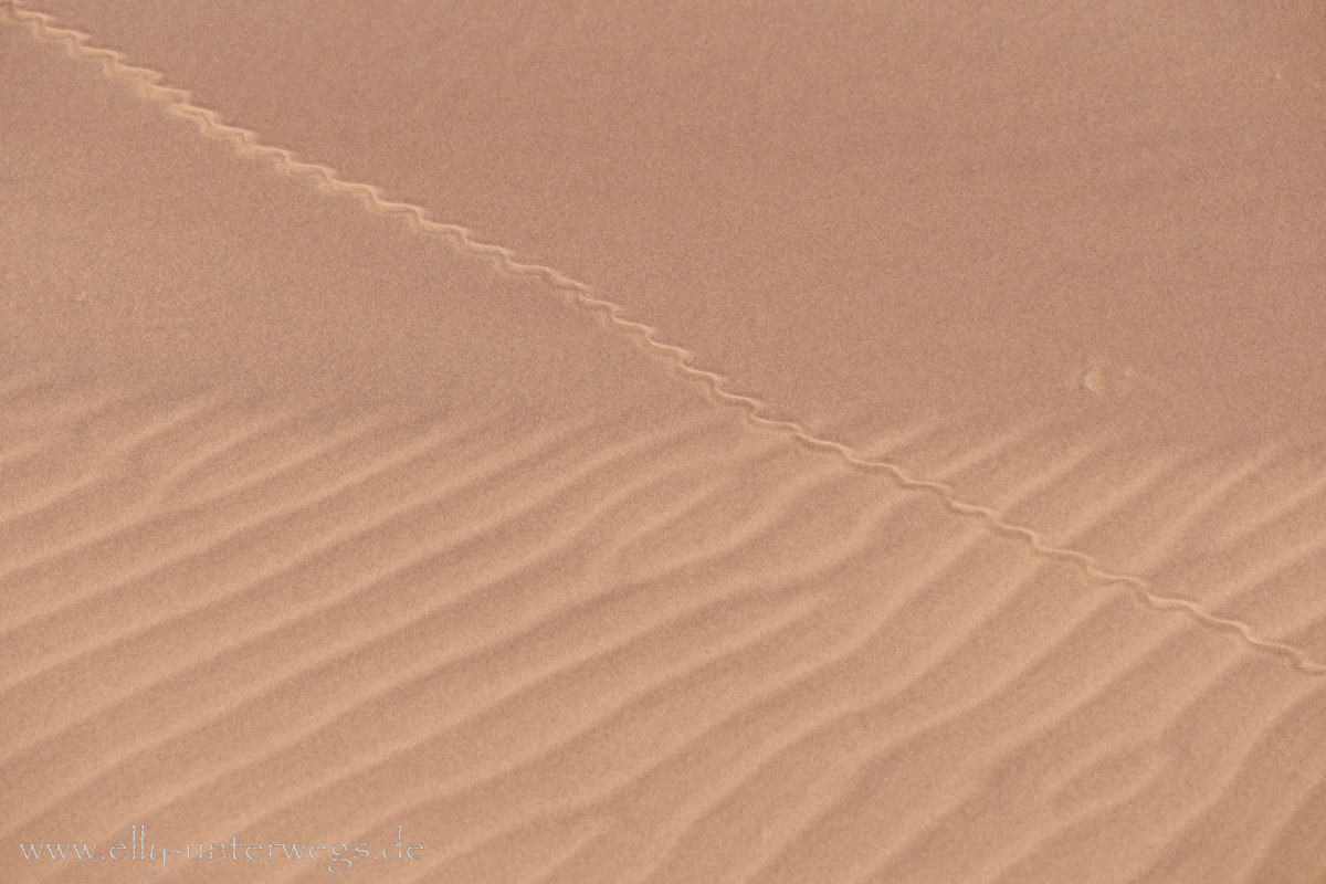 Swakopmund-Desert-Little5-101.jpg