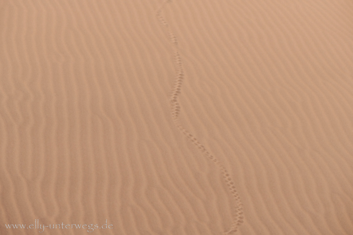 Swakopmund-Desert-Little5-103.jpg
