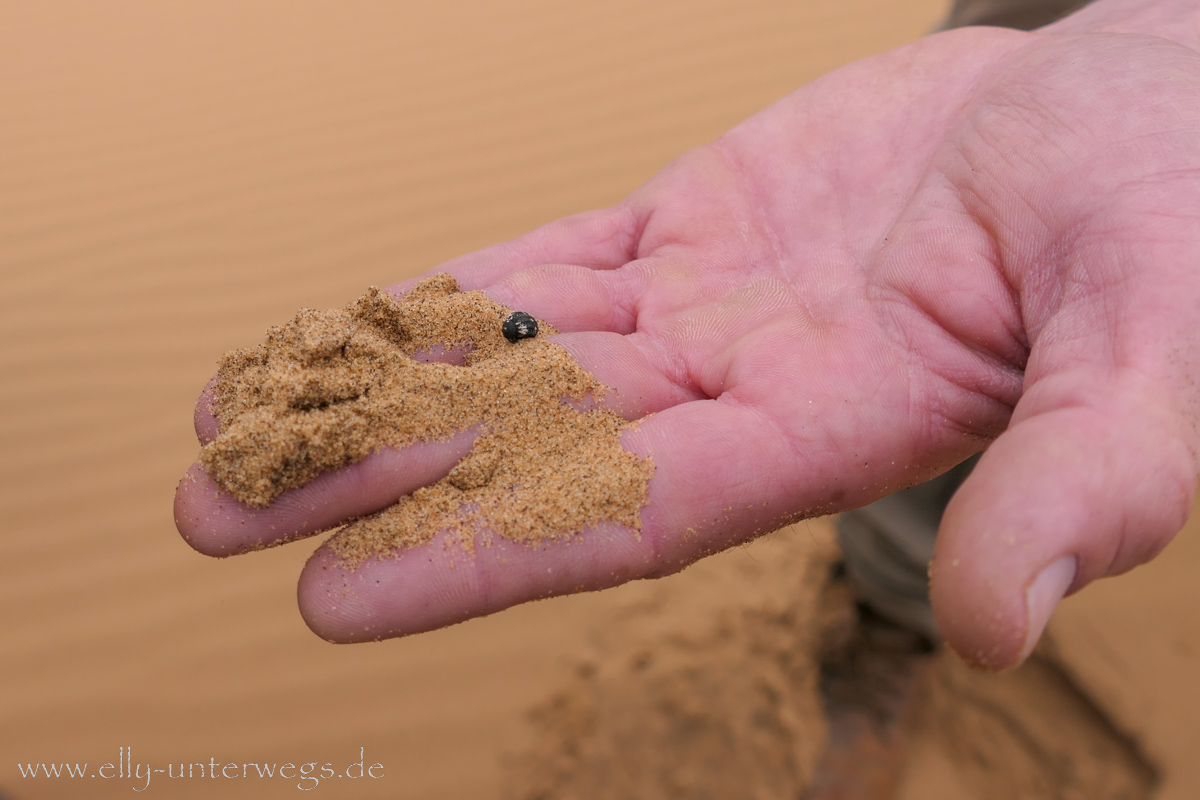 Swakopmund-Desert-Little5-109.jpg