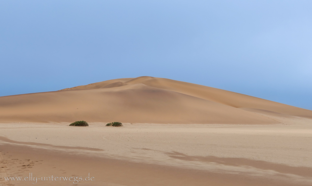 Swakopmund-Desert-Little5-136.jpg