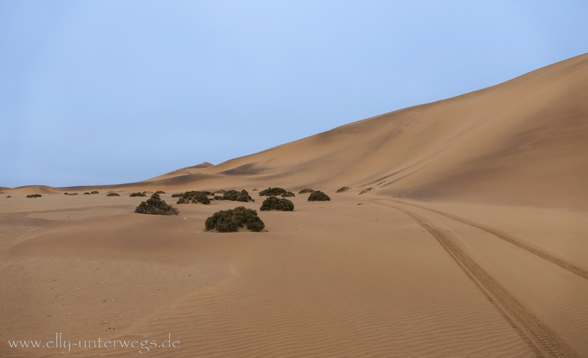 Swakopmund-Desert-Little5-157.jpg