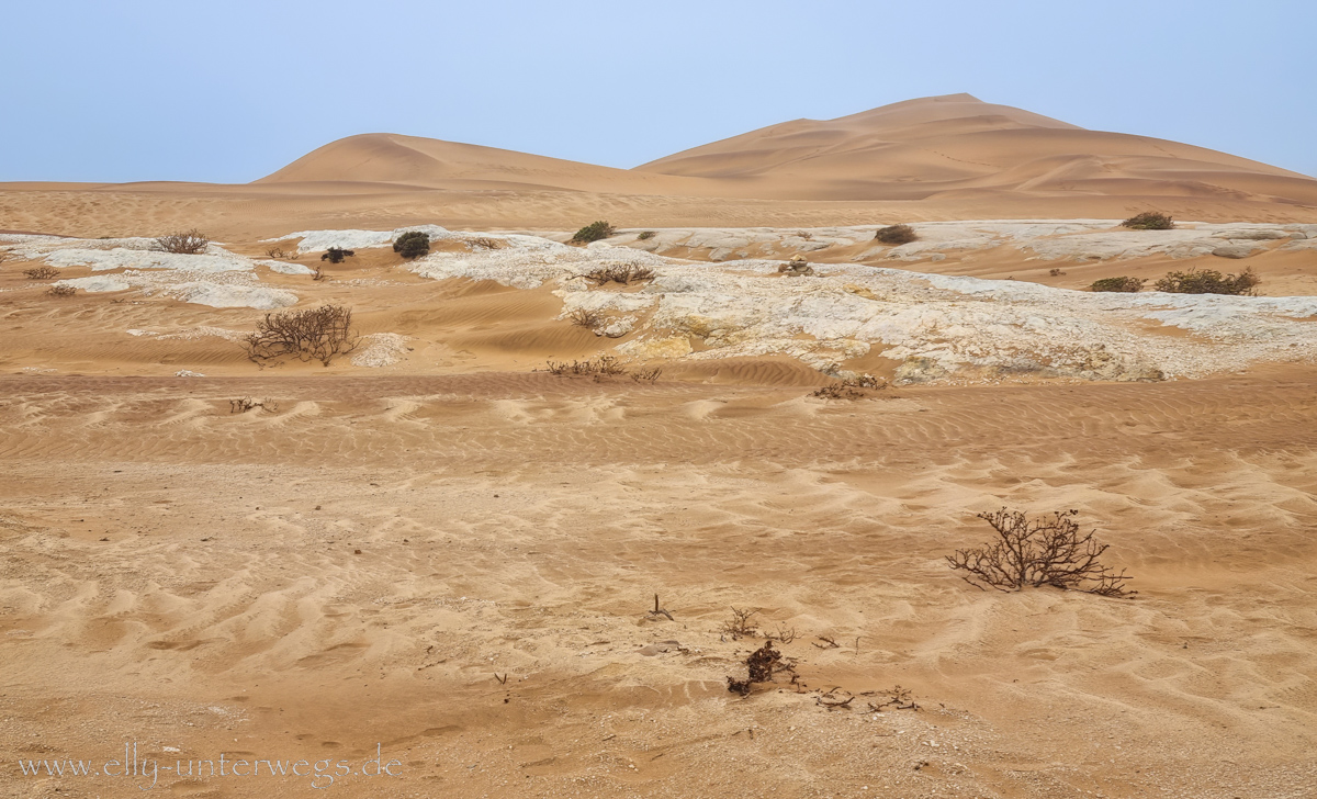 Swakopmund-Desert-Little5-18.jpg