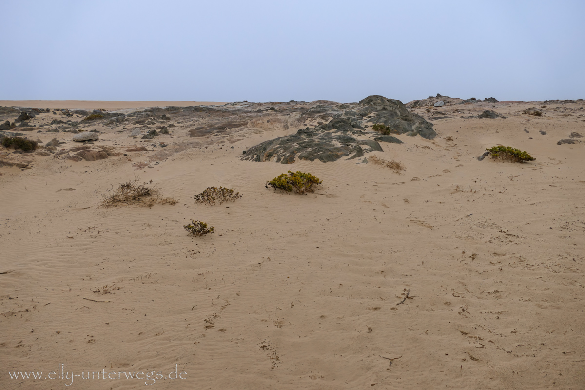 Swakopmund-Desert-Little5-2.jpg