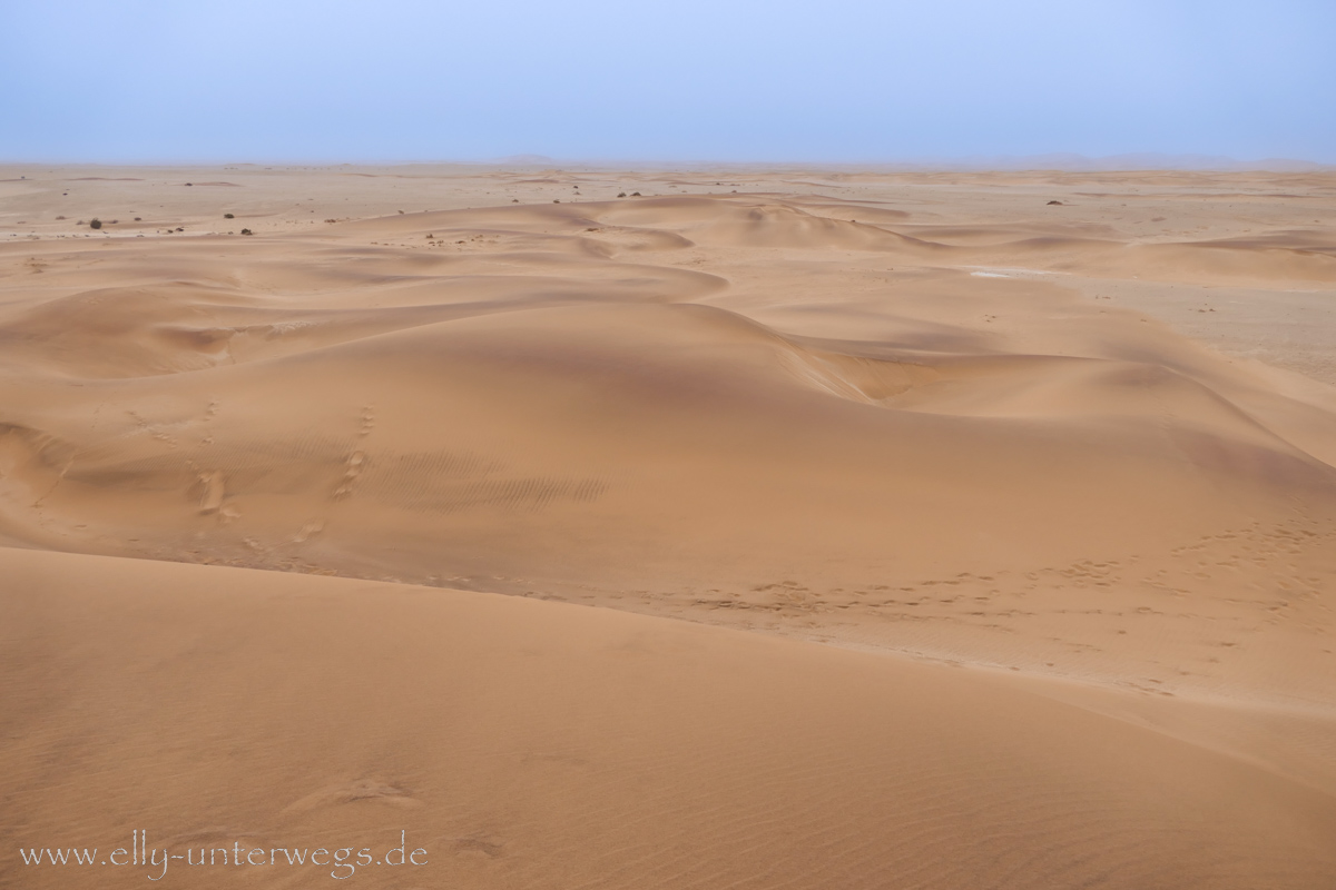 Swakopmund-Desert-Little5-41.jpg