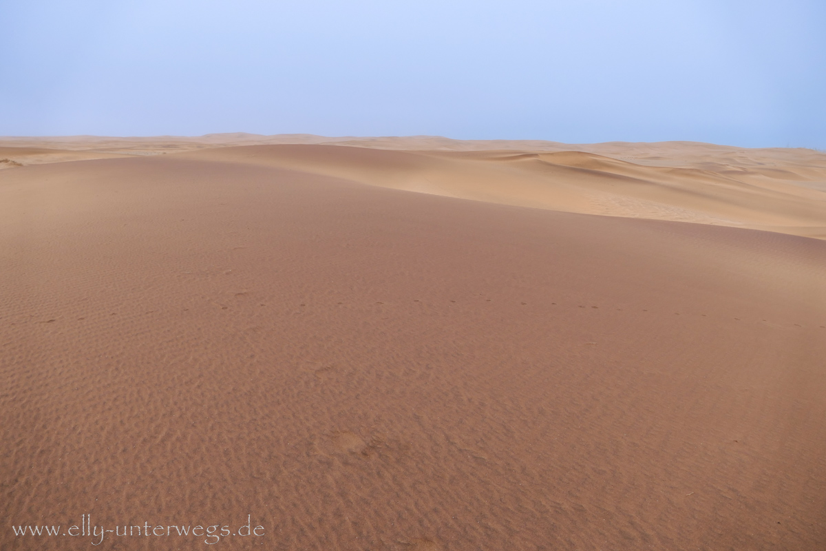 Swakopmund-Desert-Little5-69.jpg