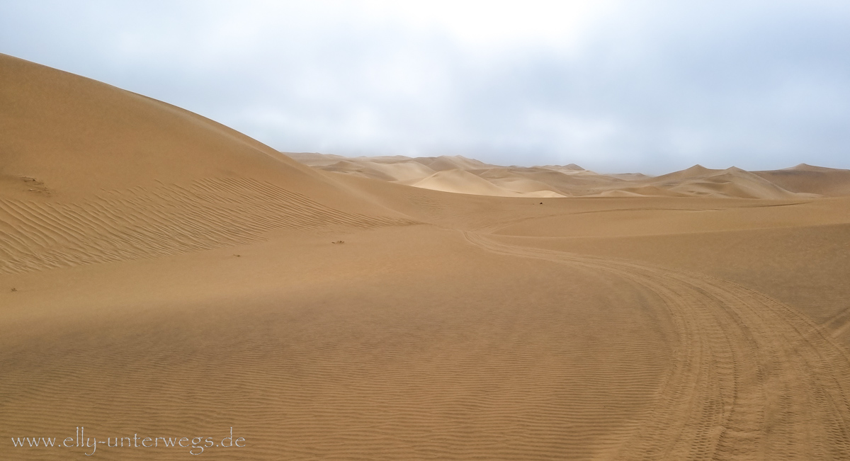 Swakopmund-Dune7-65.jpg