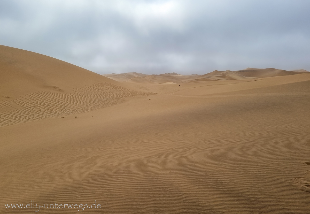 Swakopmund-Dune7-69.jpg