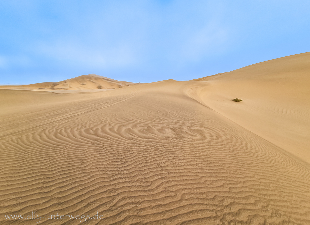 Swakopmund-Dune7-77.jpg