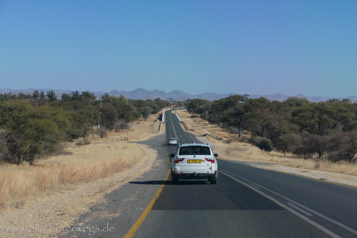 Africat-Okonjima-53.jpg