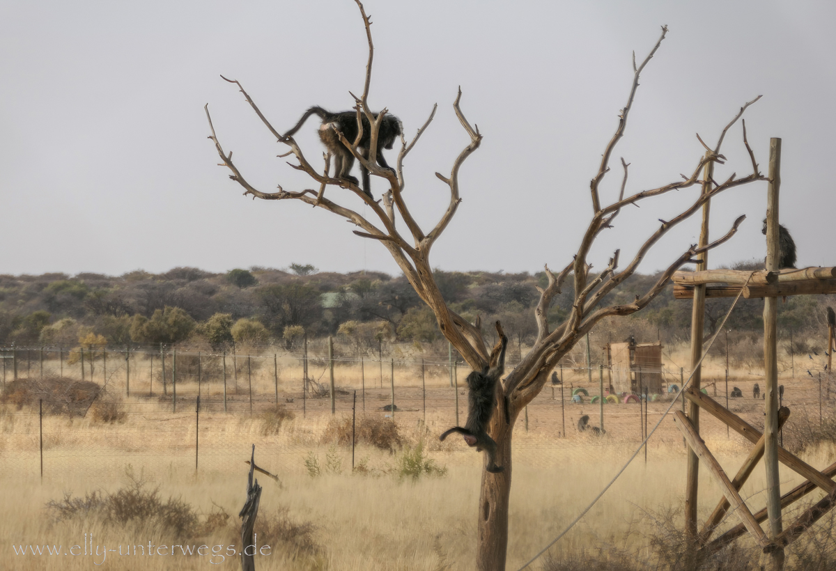 Naankuse-Namibia-11.jpg