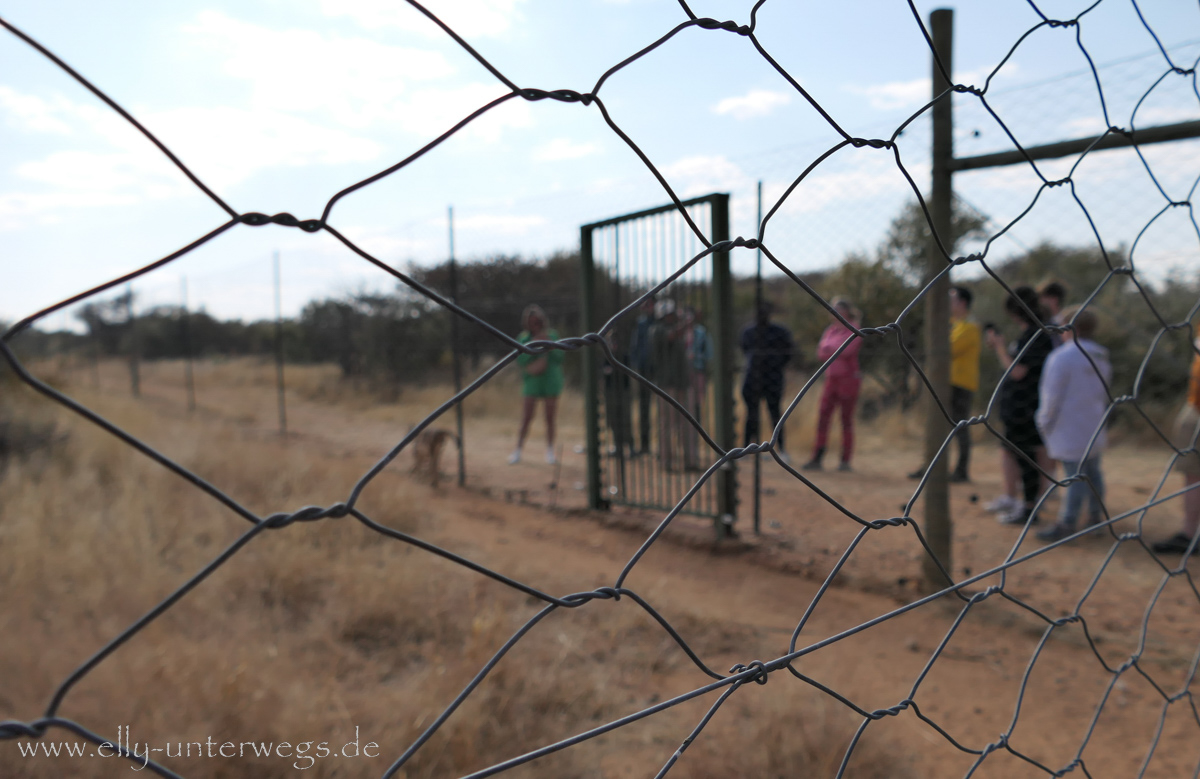 Naankuse-Namibia-14.jpg