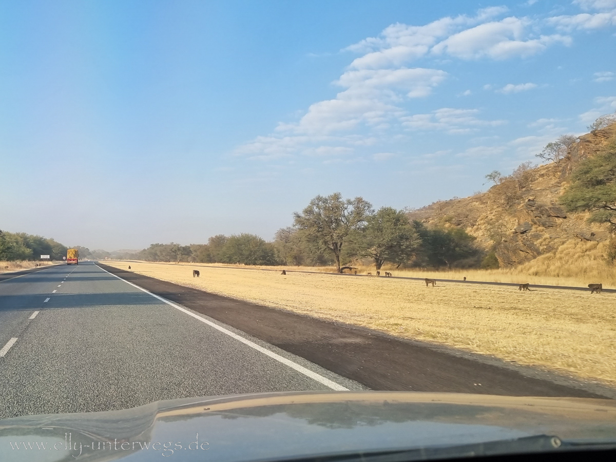 Naankuse-Namibia-2.jpg