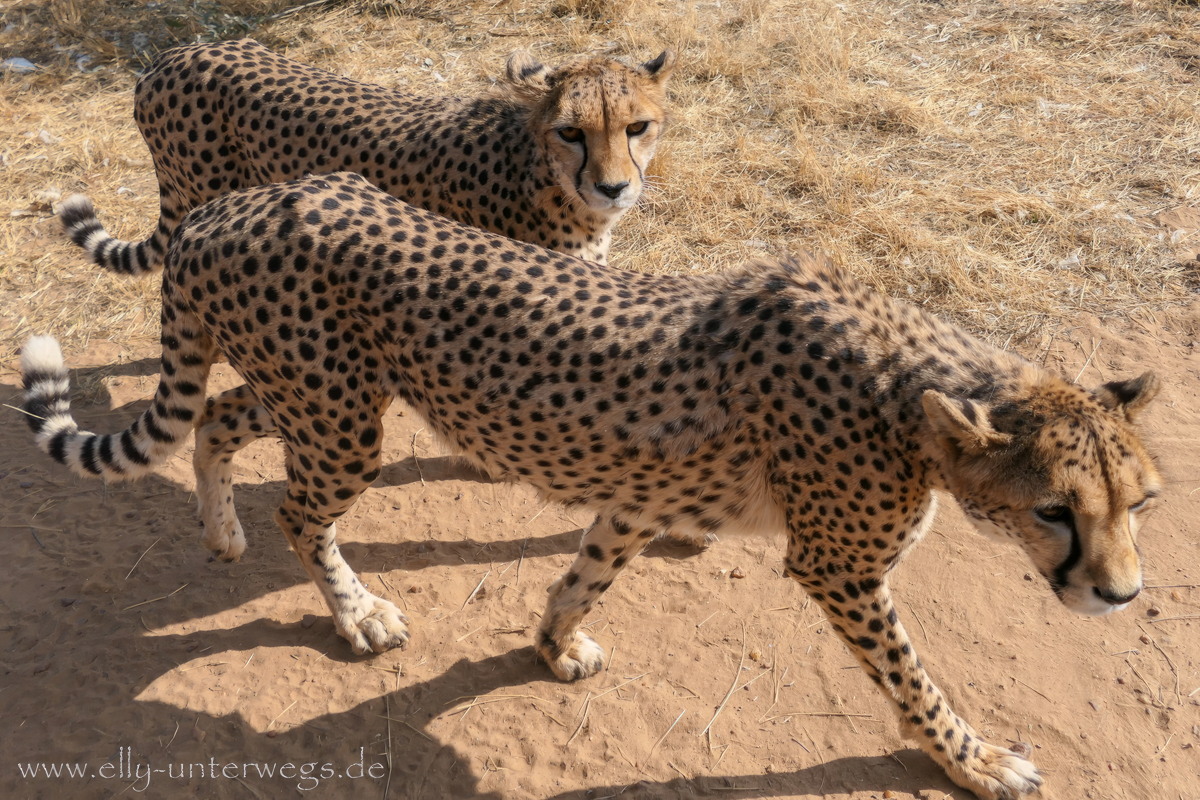 Naankuse-Namibia-24.jpg