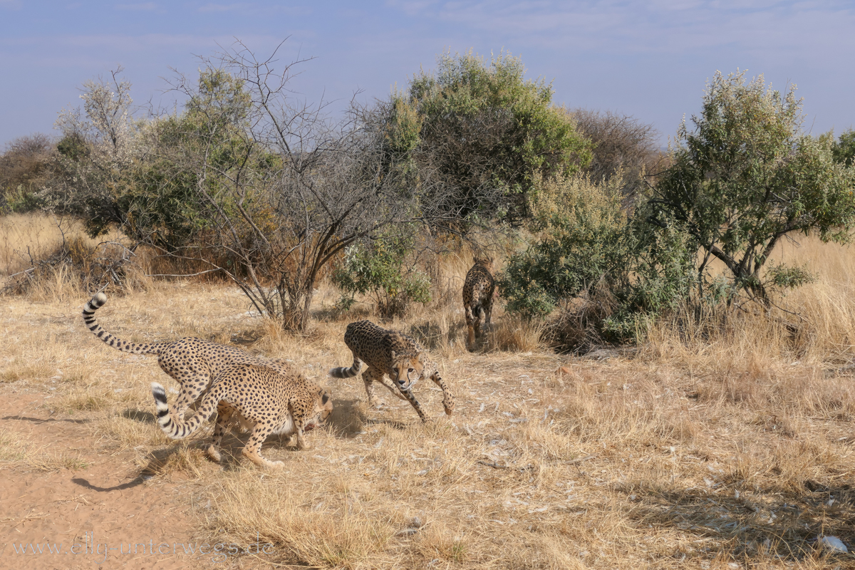 Naankuse-Namibia-25.jpg