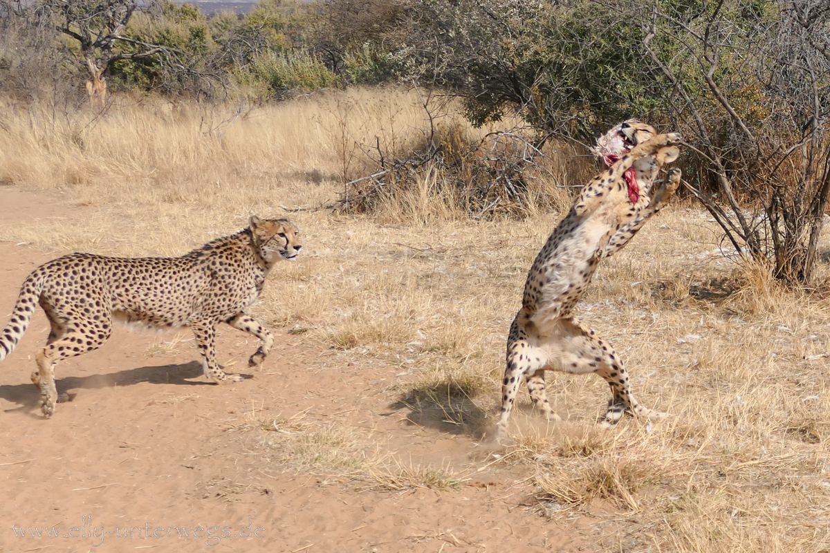 Naankuse-Namibia-26.jpg