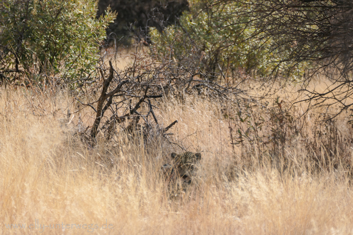 Naankuse-Namibia-30.jpg