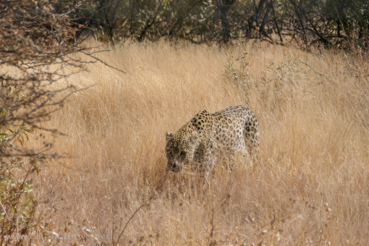 Naankuse-Namibia-32.jpg