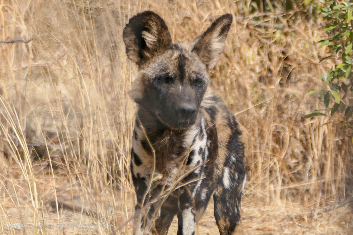 Naankuse-Namibia-44.jpg