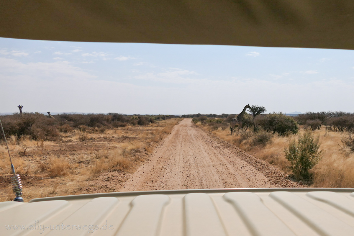 Naankuse-Namibia-46.jpg