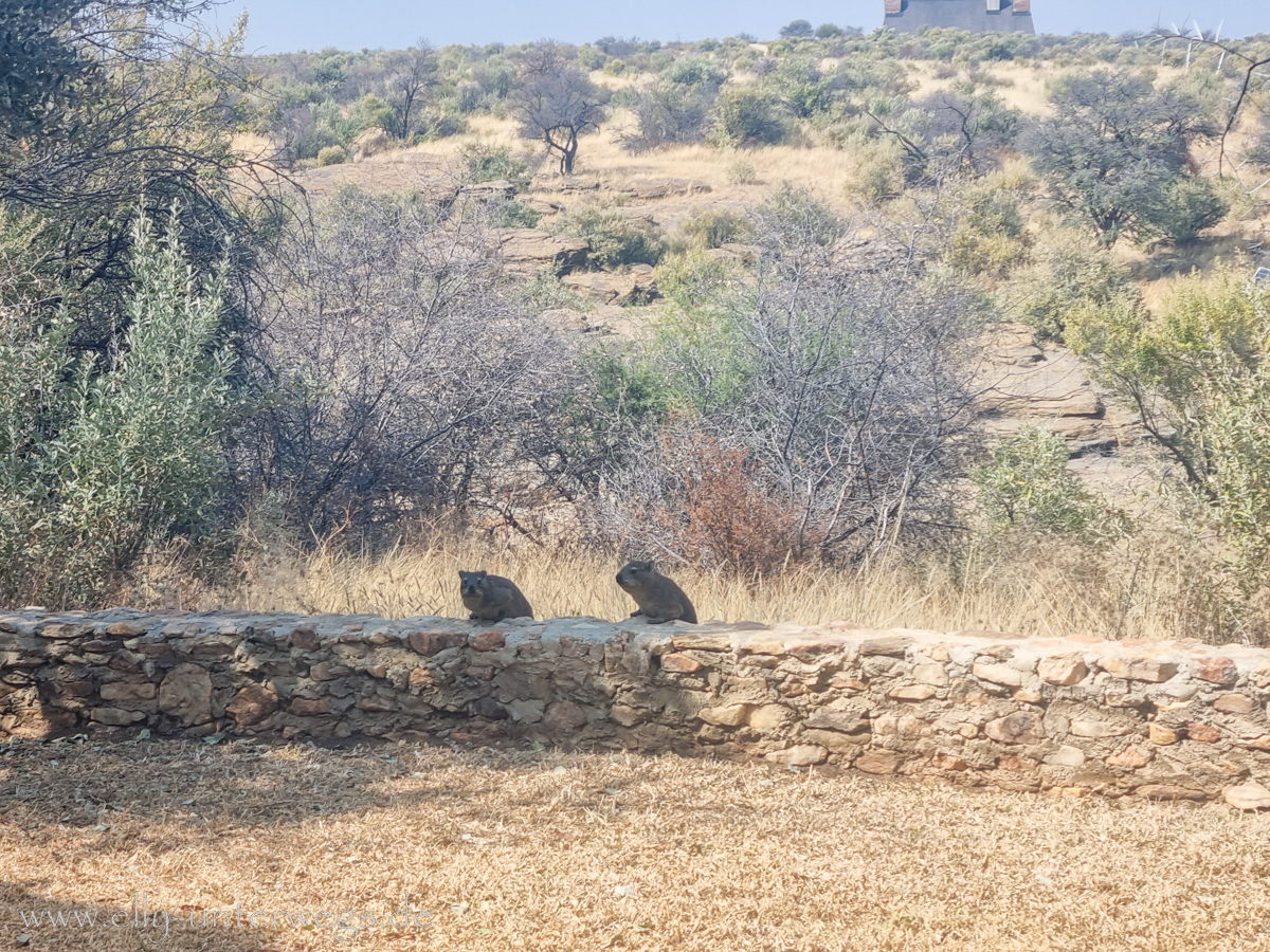 Naankuse-Namibia-51.jpg