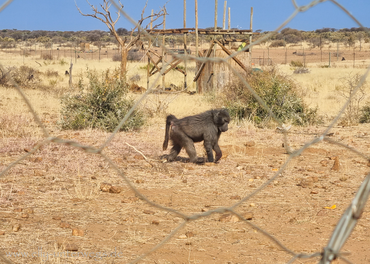 Naankuse-Namibia-67.jpg