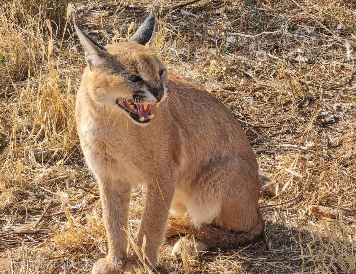 Naankuse-Namibia-70.jpg