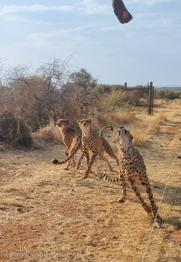 Naankuse-Namibia-83.jpg