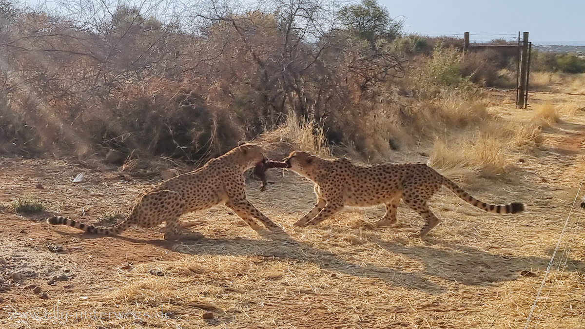 Naankuse-Namibia-85.jpg