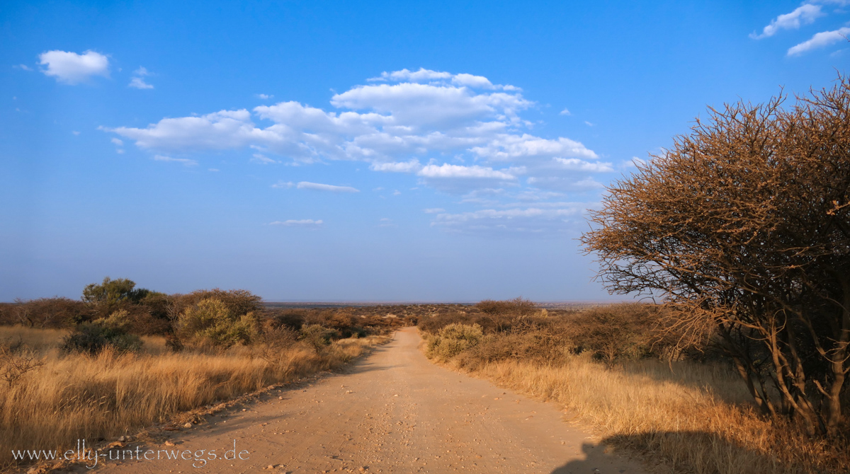 Naankuse-Namibia-88.jpg