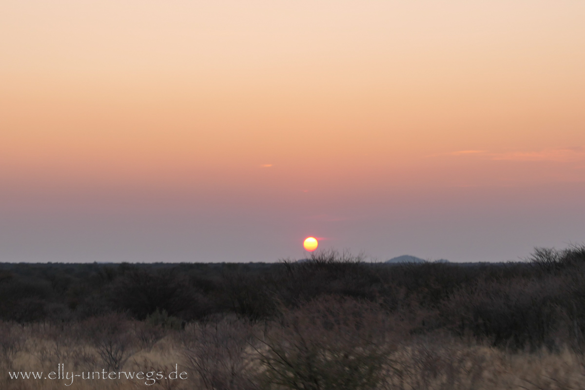 Naankuse-Namibia-94.jpg