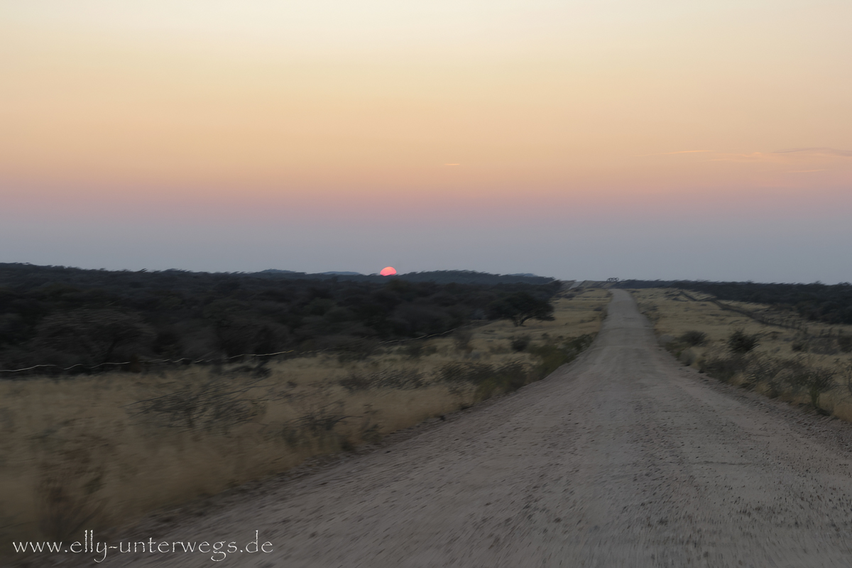 Naankuse-Namibia-95.jpg