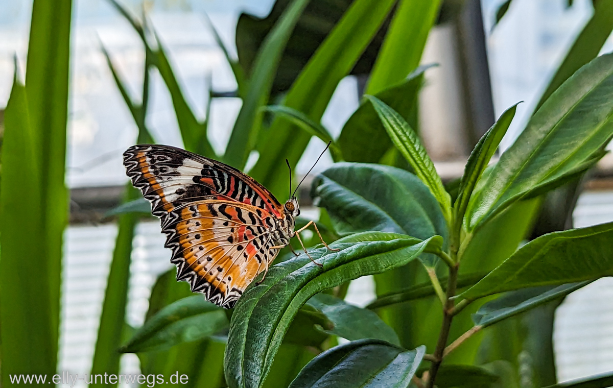 Changi-Jewel-Singapur-108.jpg