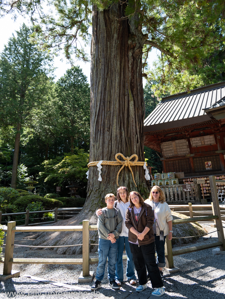 Fujiyama-Pagode-See-10.jpg