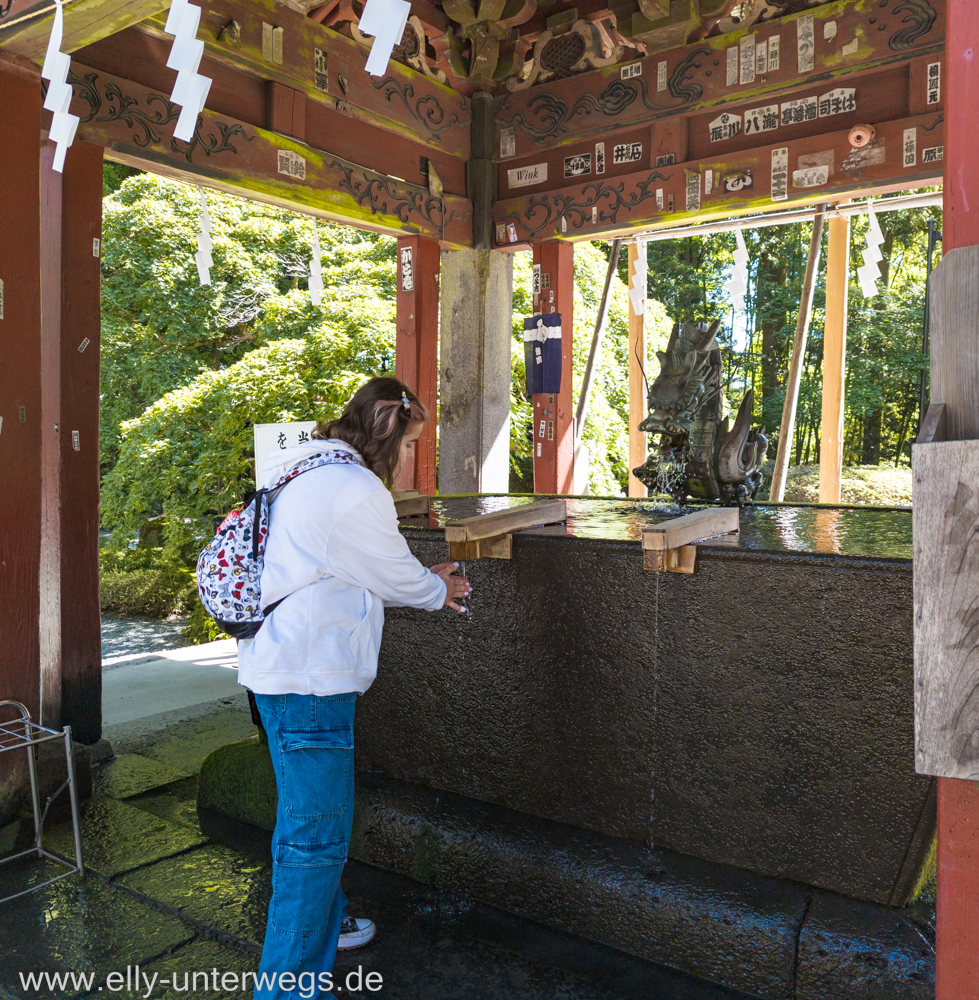 Fujiyama-Pagode-See-105.jpg