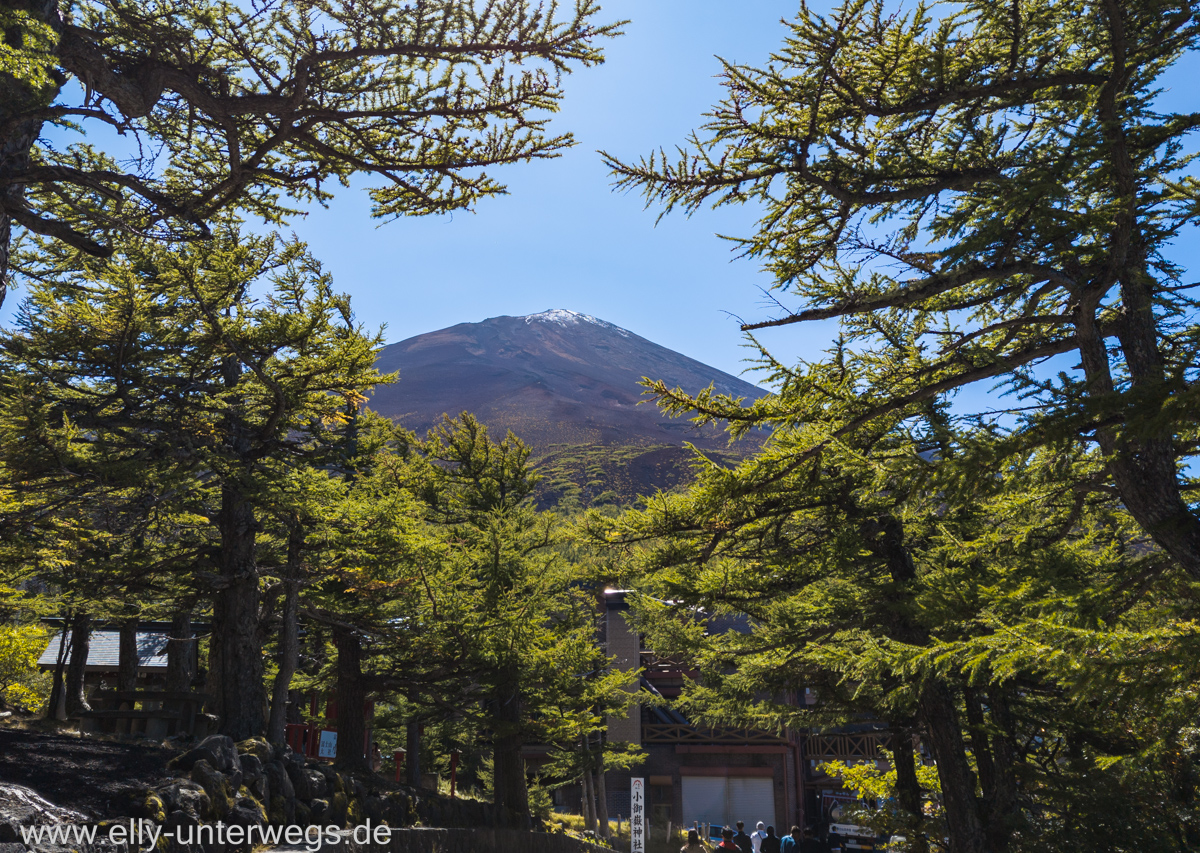 Fujiyama-Pagode-See-116.jpg