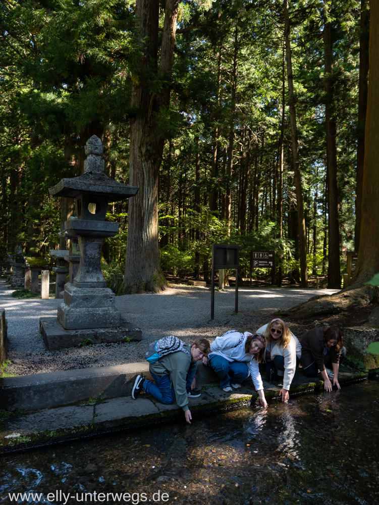 Fujiyama-Pagode-See-5.jpg