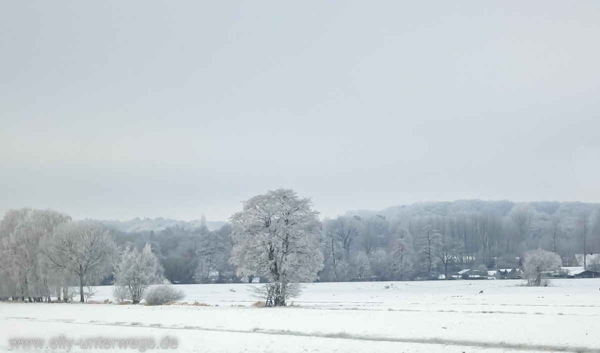 Hamburg-Schnee-17.jpg