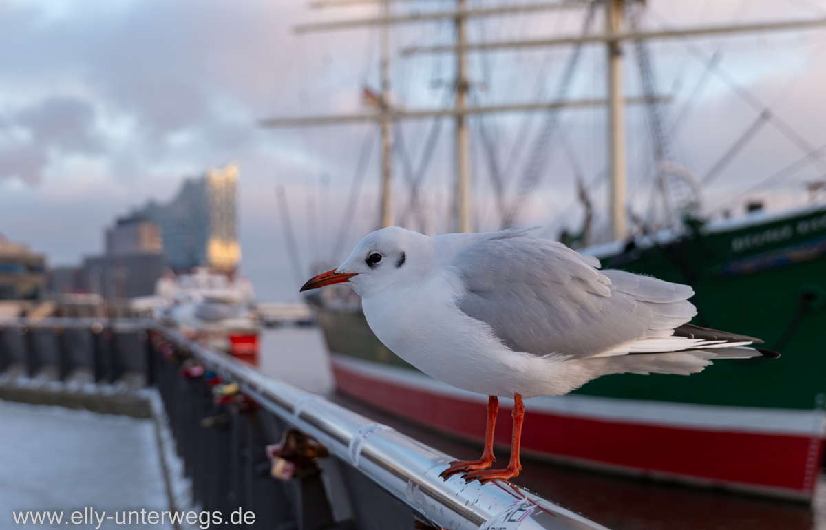 Hamburg-im-Schnee-33.jpg