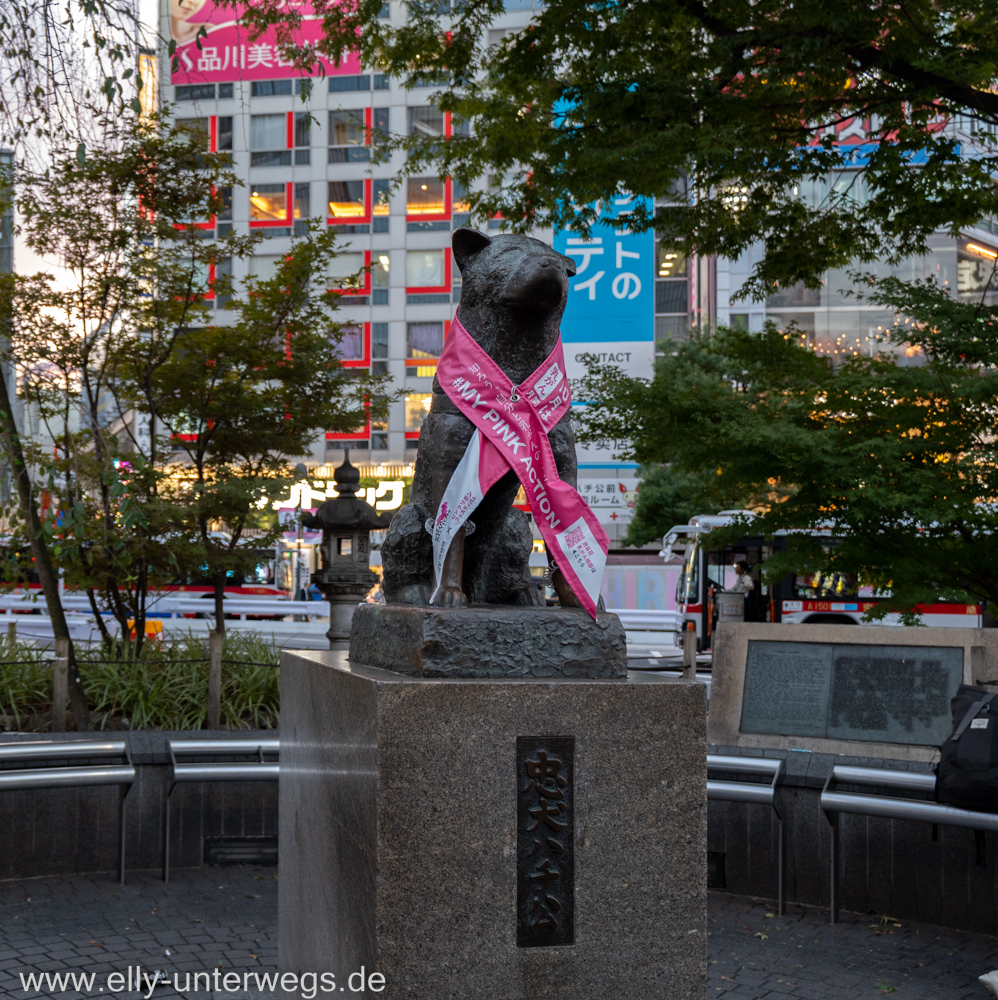 Shibuya-Tokyo-13.jpg