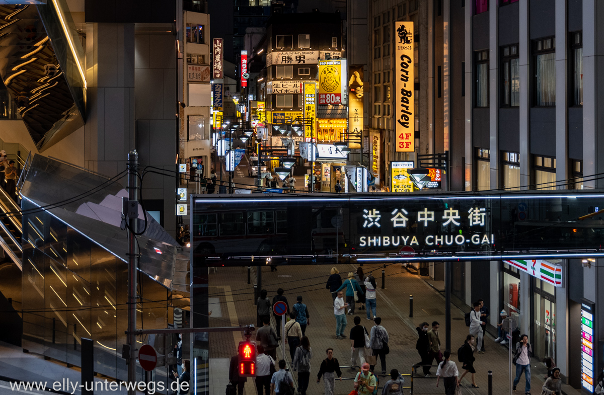 Shibuya-Tokyo-20.jpg