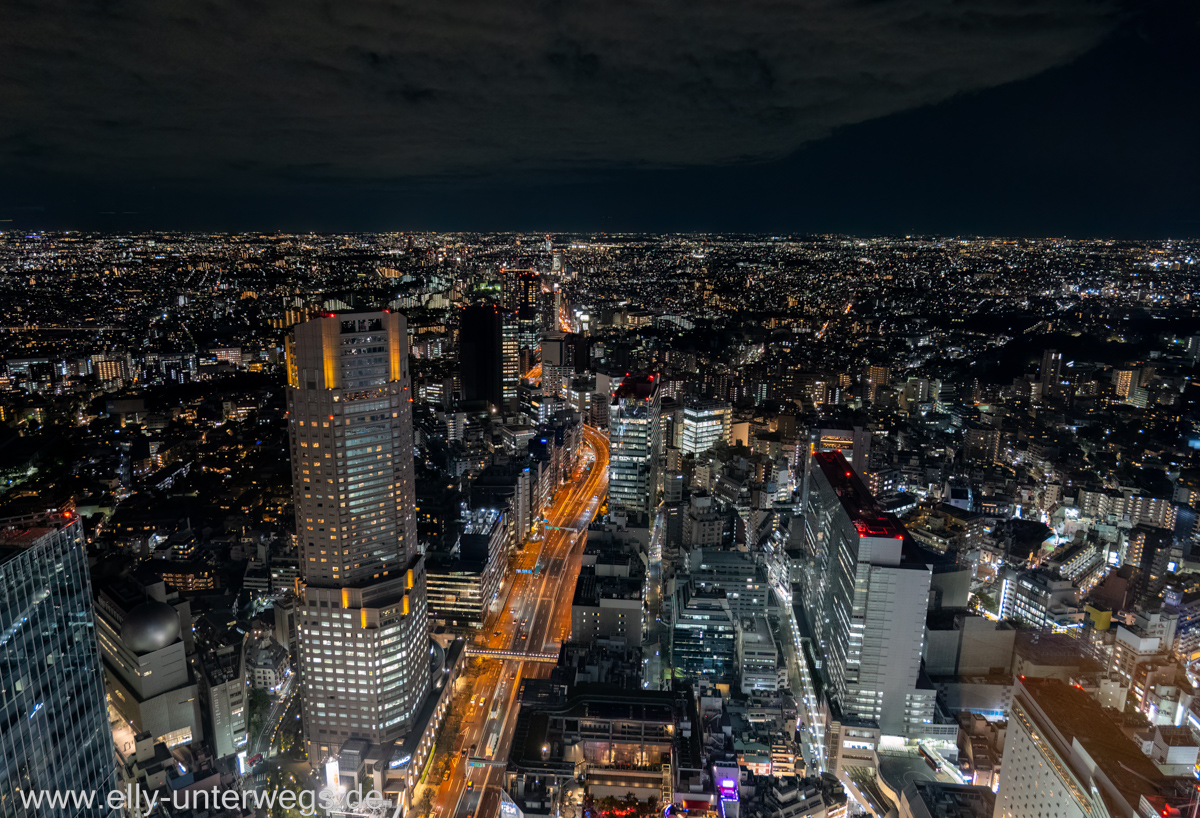 Shibuya-Tokyo-51.jpg