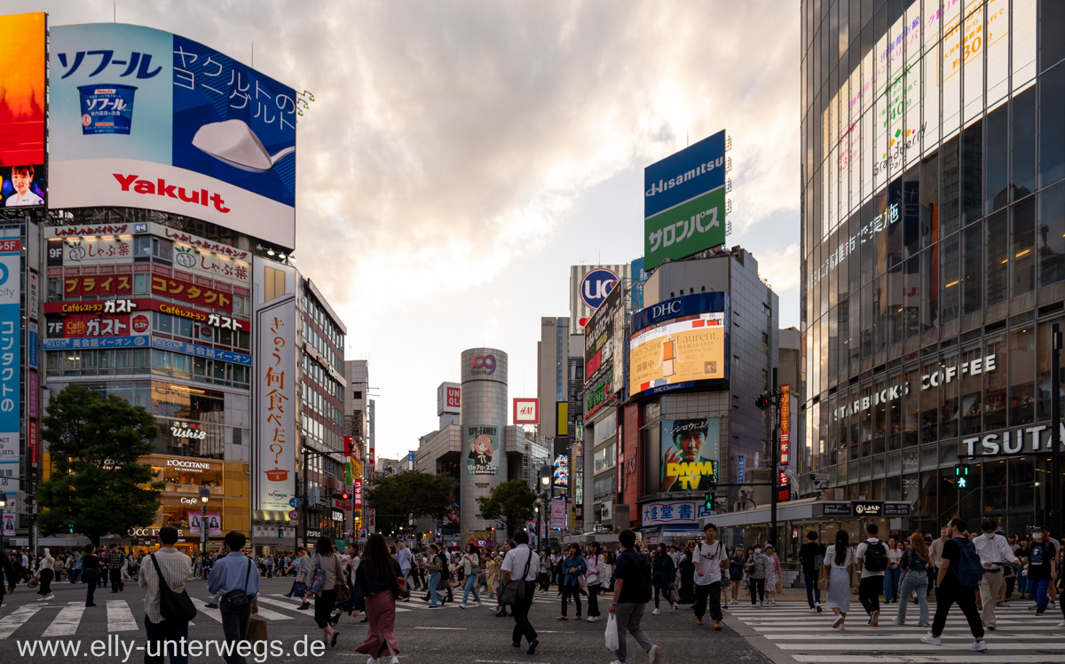 Shibuya-Tokyo-7.jpg