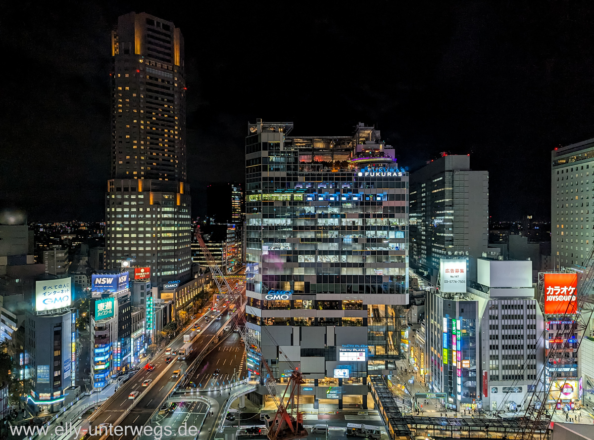 Shibuya-Tokyo-93.jpg