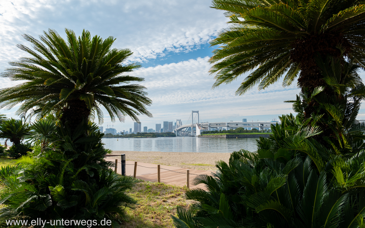 Tokyo-Freiheitsstatue-Odaiba-12.jpg