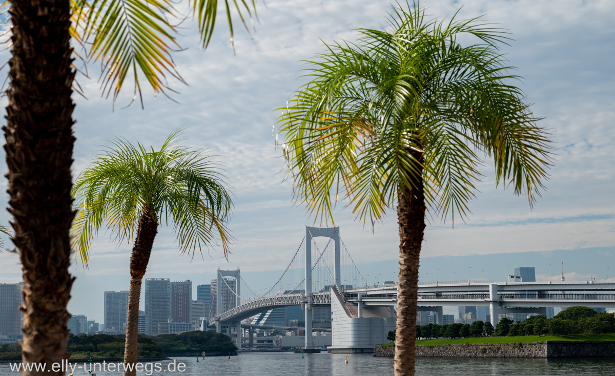 Tokyo-Freiheitsstatue-Odaiba-14.jpg