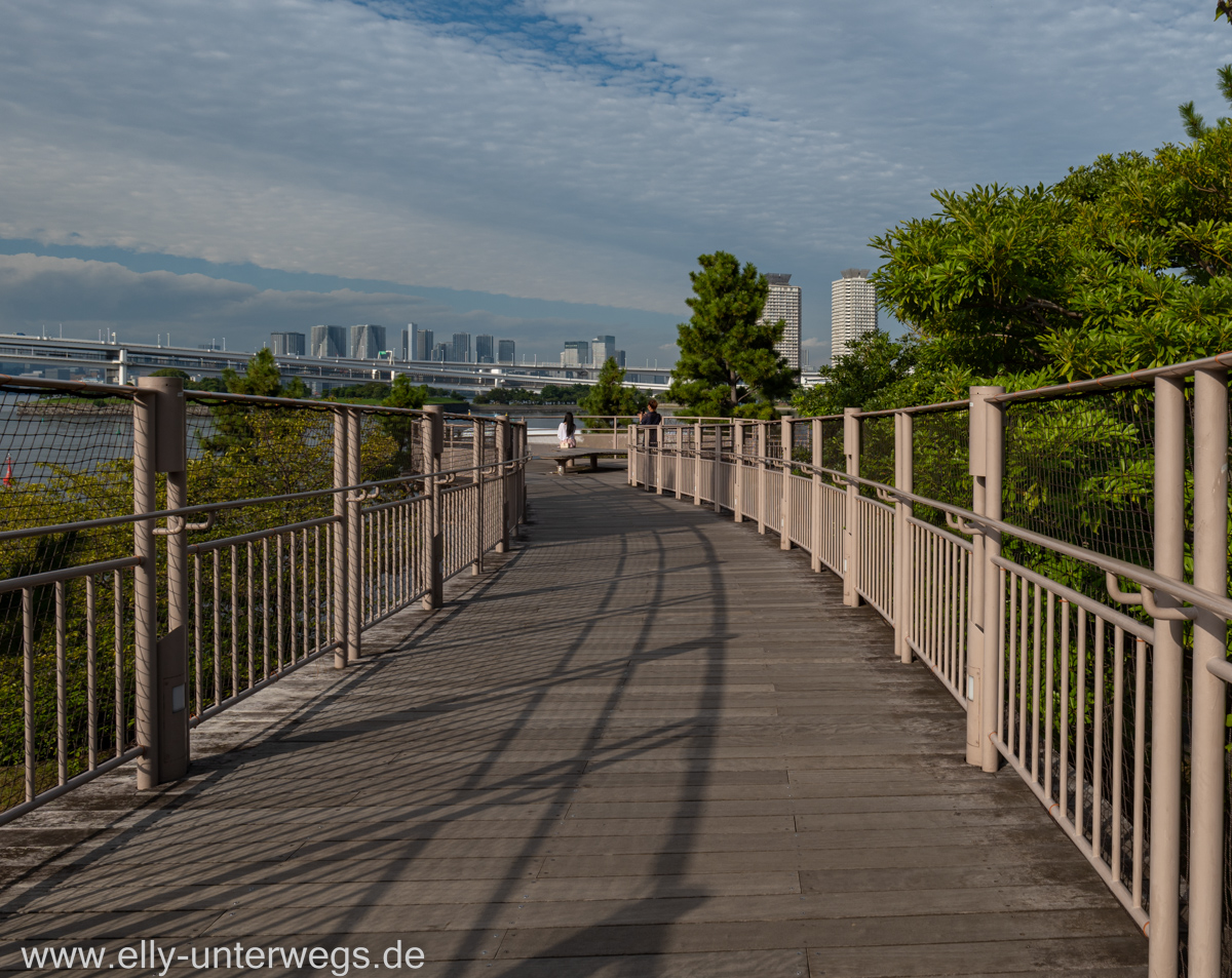 Tokyo-Freiheitsstatue-Odaiba-25.jpg