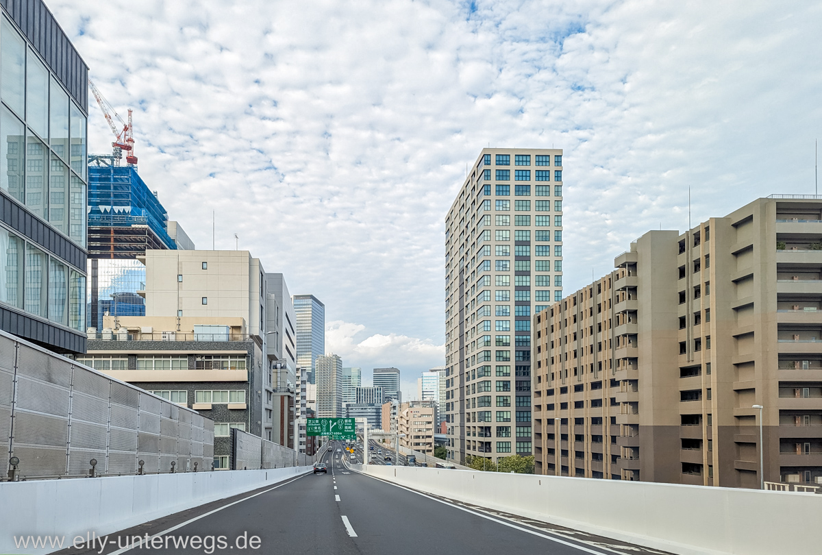 Tokyo-Freiheitsstatue-Odaiba-40.jpg