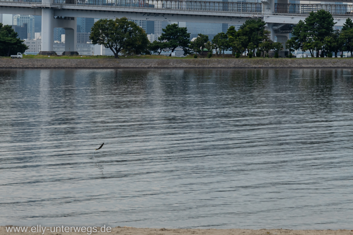 Tokyo-Freiheitsstatue-Odaiba-9.jpg