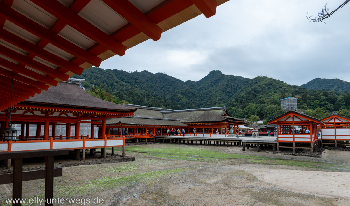 Miyajima-Tagestour-17.jpg