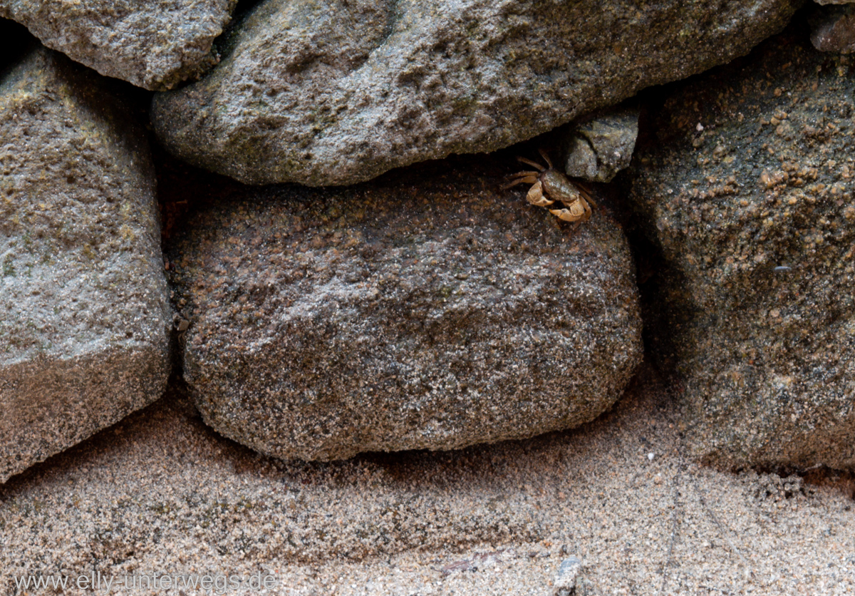 Miyajima-Tagestour-24.jpg